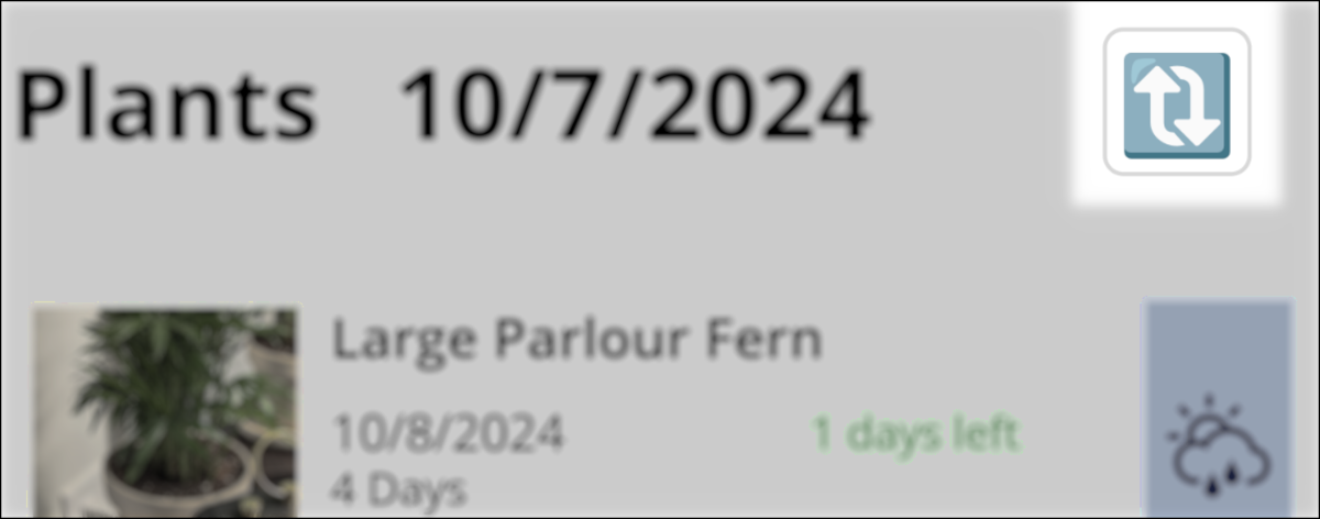 Oct 2024 Water Your Plants Update